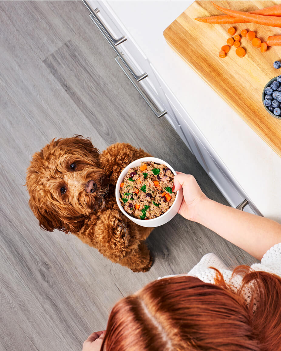 Feeding instructions