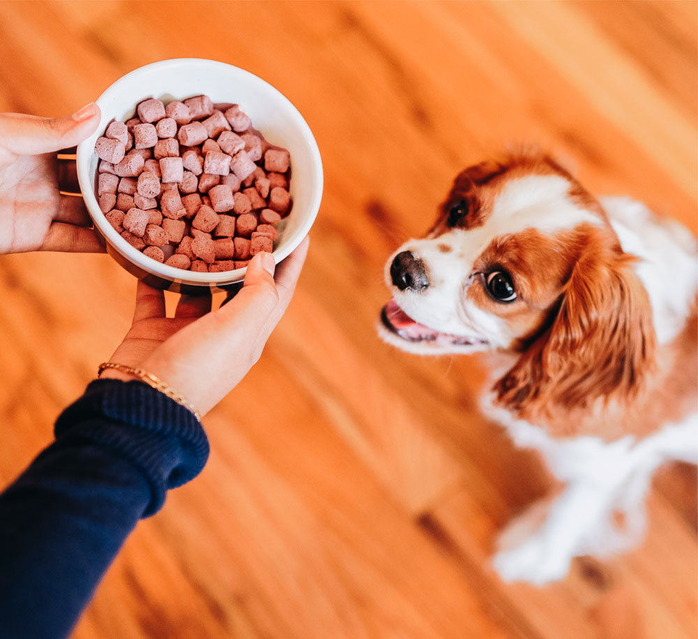 Researching the power of raw nutrition