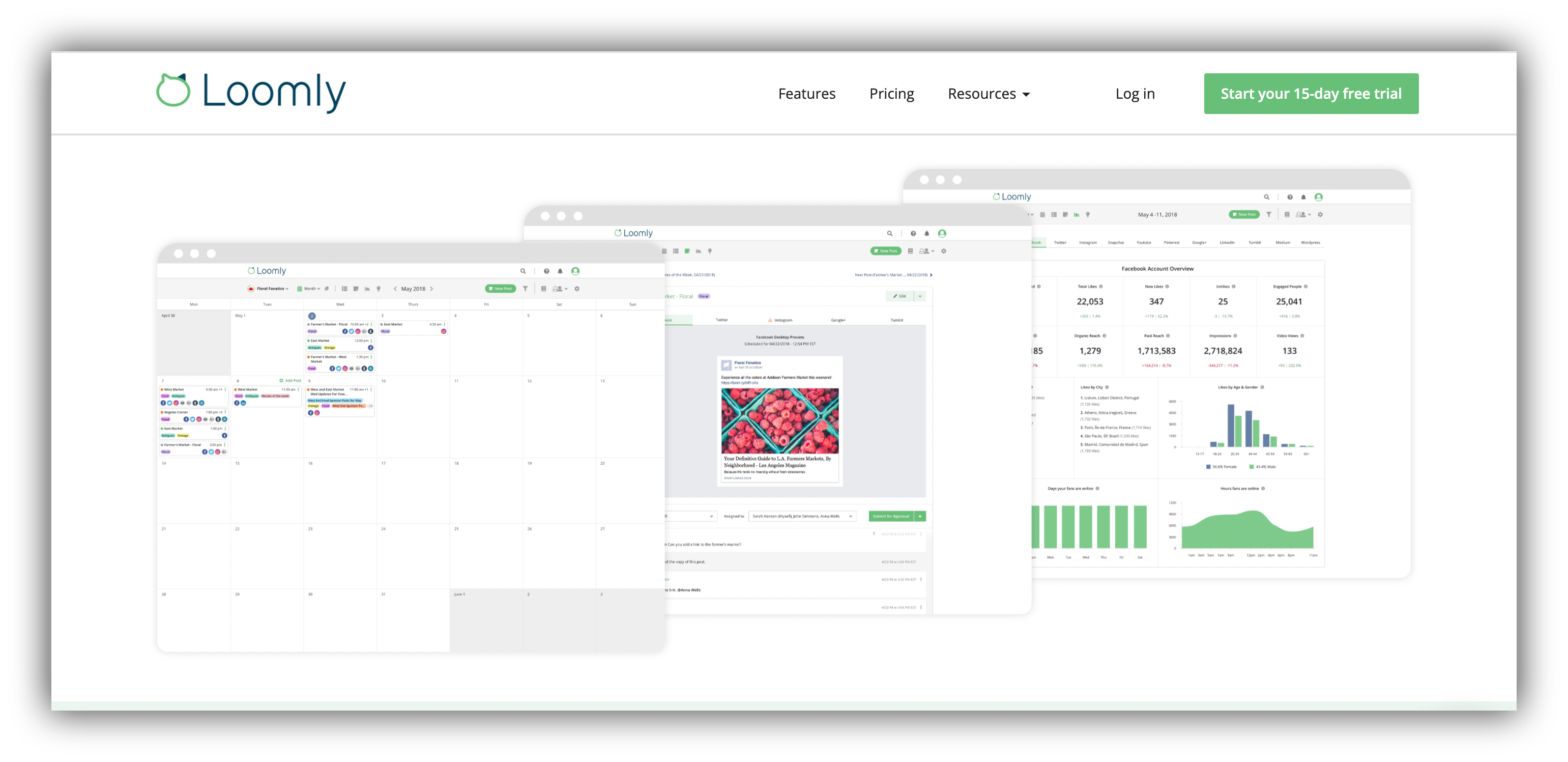 Content Planning SaaS Platform Loomly