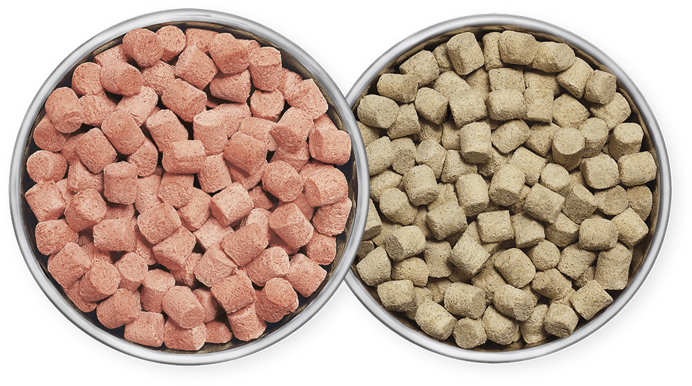 2 ways to feed 100% raw